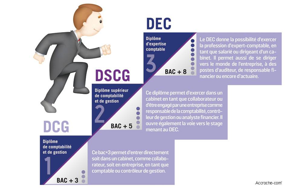 Les études à suivre pour décrocher le Diplôme d’Expert-Comptable