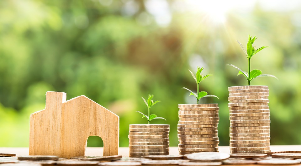 Investissement locatif : ancien ou neuf ?